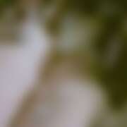 ヒメ日記 2025/10/24 19:35 投稿 れな さくらん