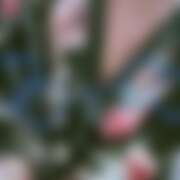 ヒメ日記 2025/11/16 17:04 投稿 れな さくらん