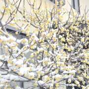 ヒメ日記 2026/02/08 16:57 投稿 れな さくらん