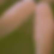 ヒメ日記 2026/03/07 16:10 投稿 れな さくらん