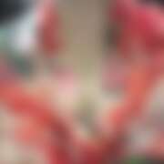 ヒメ日記 2026/04/25 19:25 投稿 れな さくらん