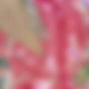 ヒメ日記 2026/08/28 20:25 投稿 れな さくらん