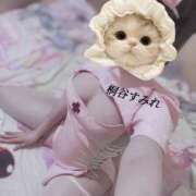 ヒメ日記 2025/06/29 23:00 投稿 桐谷すみれ 奴隷志願！変態調教飼育クラブ本店