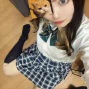 ヒメ日記 2025/06/22 19:30 投稿 ちえ きらめけ！にゃんにゃん学園in大宮