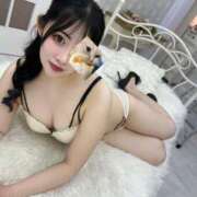 ヒメ日記 2025/06/29 22:48 投稿 ちえ きらめけ！にゃんにゃん学園in大宮