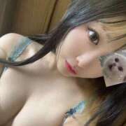 ヒメ日記 2025/07/11 20:19 投稿 ちえ きらめけ！にゃんにゃん学園in大宮