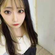 ヒメ日記 2025/07/20 11:42 投稿 ちえ きらめけ！にゃんにゃん学園in大宮