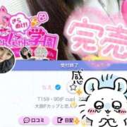 ちえ 完売です🈵 きらめけ！にゃんにゃん学園in大宮