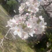 ヒメ日記 2026/04/01 17:01 投稿 和 Arrest（アレスト）