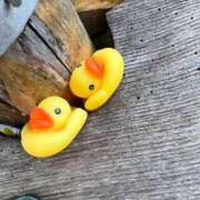 ヒメ日記 2025/06/26 16:46 投稿 あんず 沼津人妻花壇