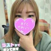 ヒメ日記 2025/07/29 18:06 投稿 あんず 沼津人妻花壇