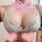 ヒメ日記 2025/08/03 09:04 投稿 あんず 沼津人妻花壇