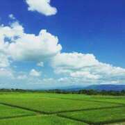 ヒメ日記 2025/11/21 22:48 投稿 秋坂　もみじ プルプル倶楽部 札幌すすきの店