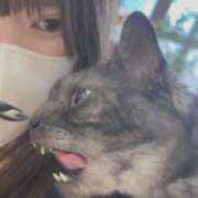 ヒメ日記 2025/09/07 21:13 投稿 せいら 横浜ハッピーマットパラダイス