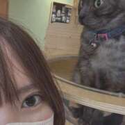 ヒメ日記 2025/09/27 23:20 投稿 せいら 横浜ハッピーマットパラダイス