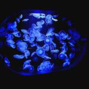 ヒメ日記 2025/10/15 11:13 投稿 せいら 横浜ハッピーマットパラダイス