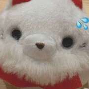 ヒメ日記 2025/11/19 22:03 投稿 せいら 横浜ハッピーマットパラダイス