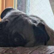 ヒメ日記 2025/09/18 12:27 投稿 こずえ 完熟ばなな 立川