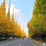 ヒメ日記 2025/09/22 10:27 投稿 こずえ 完熟ばなな 立川