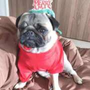 ヒメ日記 2025/12/24 10:57 投稿 こずえ 完熟ばなな 立川