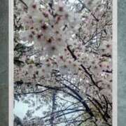 ヒメ日記 2026/04/02 15:07 投稿 こずえ 完熟ばなな 立川