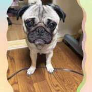 ヒメ日記 2026/04/03 12:17 投稿 こずえ 完熟ばなな 立川