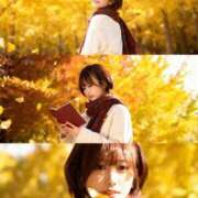 ヒメ日記 2025/11/14 19:47 投稿 ★りの Le CELINU（ル・セリーヌ）