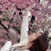 ヒメ日記 2026/03/26 11:01 投稿 ★りの Le CELINU（ル・セリーヌ）