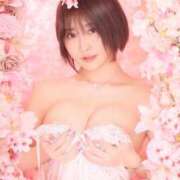 ヒメ日記 2026/05/03 17:02 投稿 ★りの Le CELINU（ル・セリーヌ）