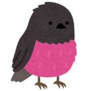 九蓮宝燈あまね 1月予定 OL精薬