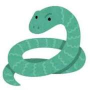 九蓮宝燈あまね 🐍 OL精薬