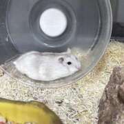 ヒメ日記 2025/07/28 09:34 投稿 りん ホテルだヨ！全員集合