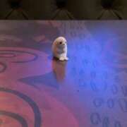 ヒメ日記 2025/07/31 12:35 投稿 みゆ 船橋ときめき女学園