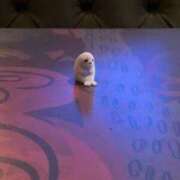 ヒメ日記 2025/12/02 13:00 投稿 みゆ 船橋ときめき女学園