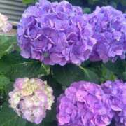 ヒメ日記 2025/06/11 19:28 投稿 まお ジュエルズ(池袋)