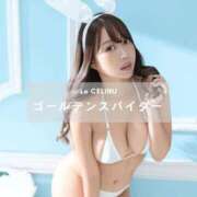 ヒメ日記 2026/04/13 06:00 投稿 ★あやめ Le CELINU（ル・セリーヌ）