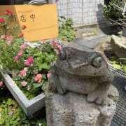 ヒメ日記 2025/08/09 12:09 投稿 らき One More 奥様　松戸店