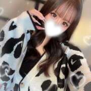 ヒメ日記 2026/02/19 12:20 投稿 ひかり【ゴールドアロー】 Arrows 苫小牧・千歳店