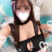 ひかり【ゴールドアロー】 います🌟 Arrows 苫小牧・千歳店