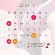 ヒメ日記 2026/02/24 12:28 投稿 津川さち 断りきれない美人マッサージ嬢たち