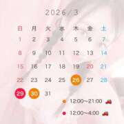 ヒメ日記 2026/03/22 16:01 投稿 津川さち 断りきれない美人マッサージ嬢たち