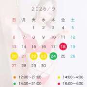 ヒメ日記 2026/09/08 15:40 投稿 津川さち 断りきれない美人マッサージ嬢たち