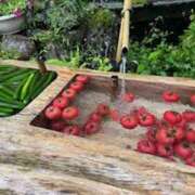 ヒメ日記 2025/07/18 13:09 投稿 みお 逢って30秒で即尺