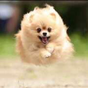 ヒメ日記 2026/02/06 10:03 投稿 明菜 昭和生まれの美人