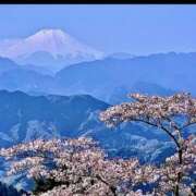 ヒメ日記 2026/03/05 09:01 投稿 明菜 昭和生まれの美人