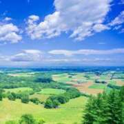 ヒメ日記 2026/04/16 20:16 投稿 明菜 昭和生まれの美人