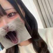 ことは こんにちは🍀 サティアンまーと