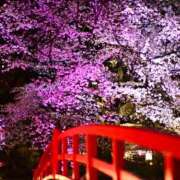 まな こんにち Felice(フェリス)