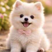 ヒメ日記 2026/02/06 22:45 投稿 さや 昭和生まれの美人