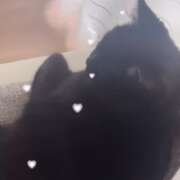 ヒメ日記 2025/07/30 00:09 投稿 ひなの【濡れまくり最年少】 STELLA TOKYO－ステラトウキョウ－